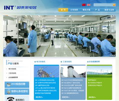 南京网站建设与网络技术咨询服务 智拓网络公司的专业之道